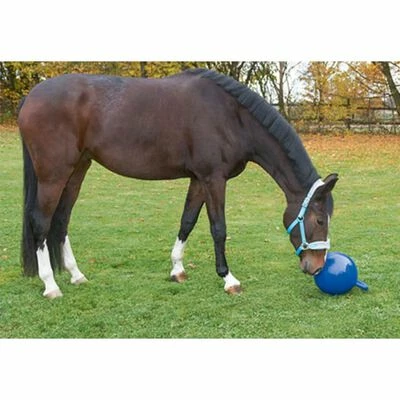 Kerbl Balle de jeu pour chevaux Bleu 25 cm 32399 2 Kerbl Balle de jeu pour chevaux Bleu 25 cm 32399 – Image 2