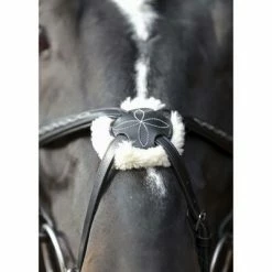 Covalliero Bridon Cancun pour poney Noir -Loisirs de plein air Soldes Magasin image 5 436740