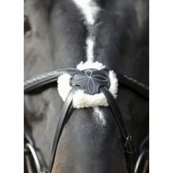 Covalliero Bridon Cancun pour cob Noir -Loisirs de plein air Soldes Magasin image 5 436741