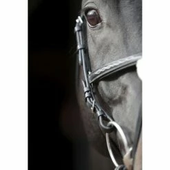 Covalliero Bridon Cancun pour poney Noir -Loisirs de plein air Soldes Magasin image 6 436740