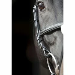 Covalliero Bridon Cancun Complet Noir -Loisirs de plein air Soldes Magasin image 6 436742