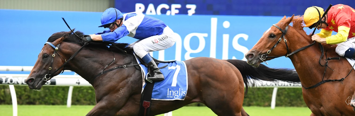 Loisirs de plein air Soldes Magasin -Loisirs de plein air Soldes Magasin 未标题 1